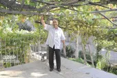 وکیلی، شهروندی که کوچه&zwnj;اش را سبز کرد