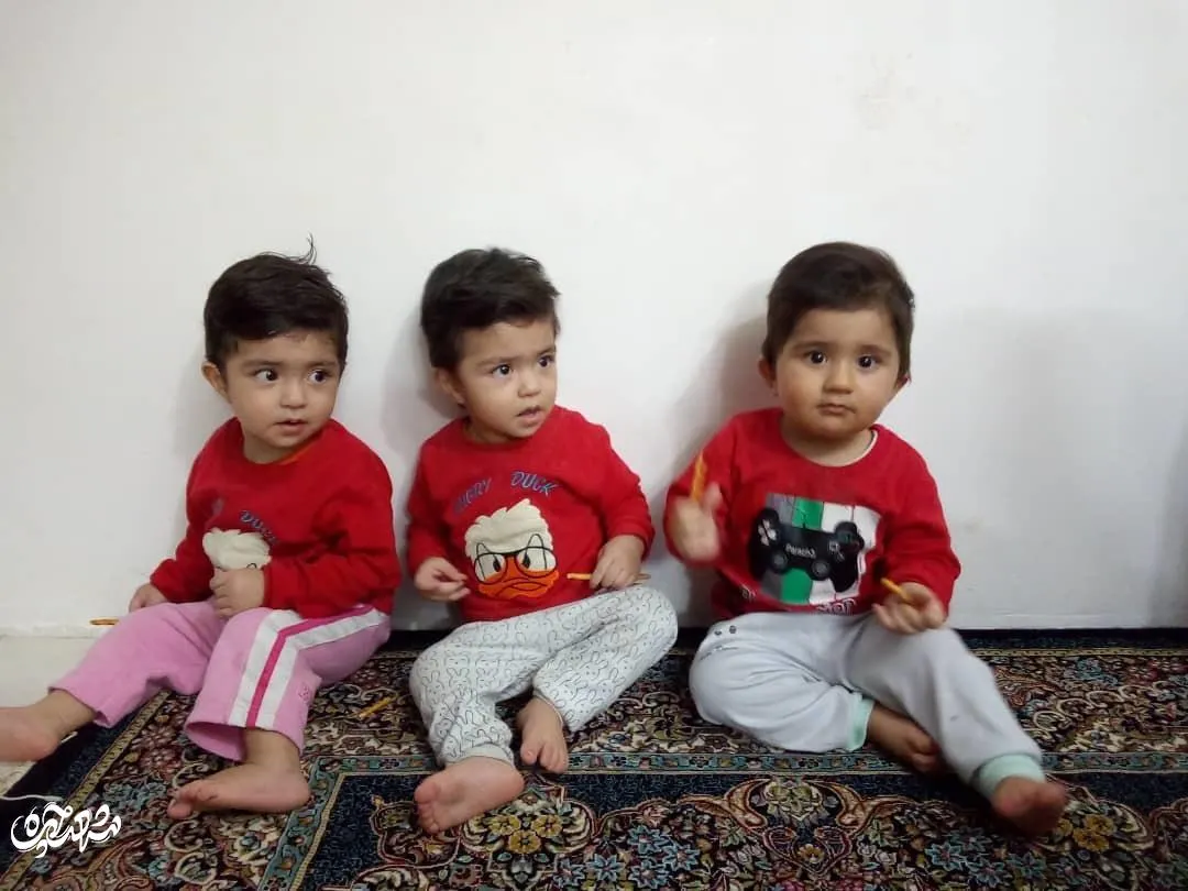 سه قلوها میان بندی