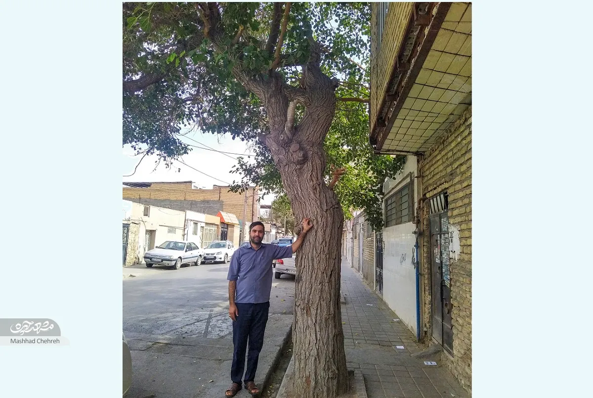 محله گردی