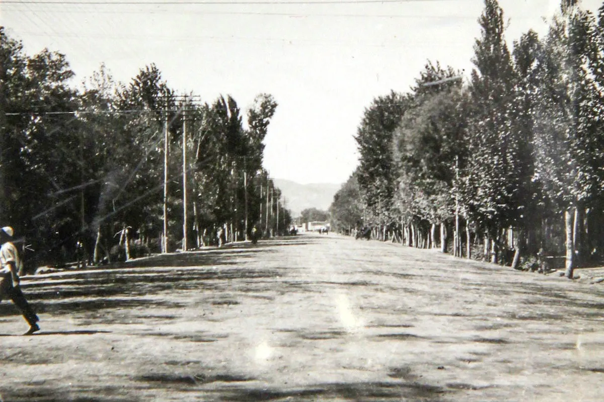 محله گردی