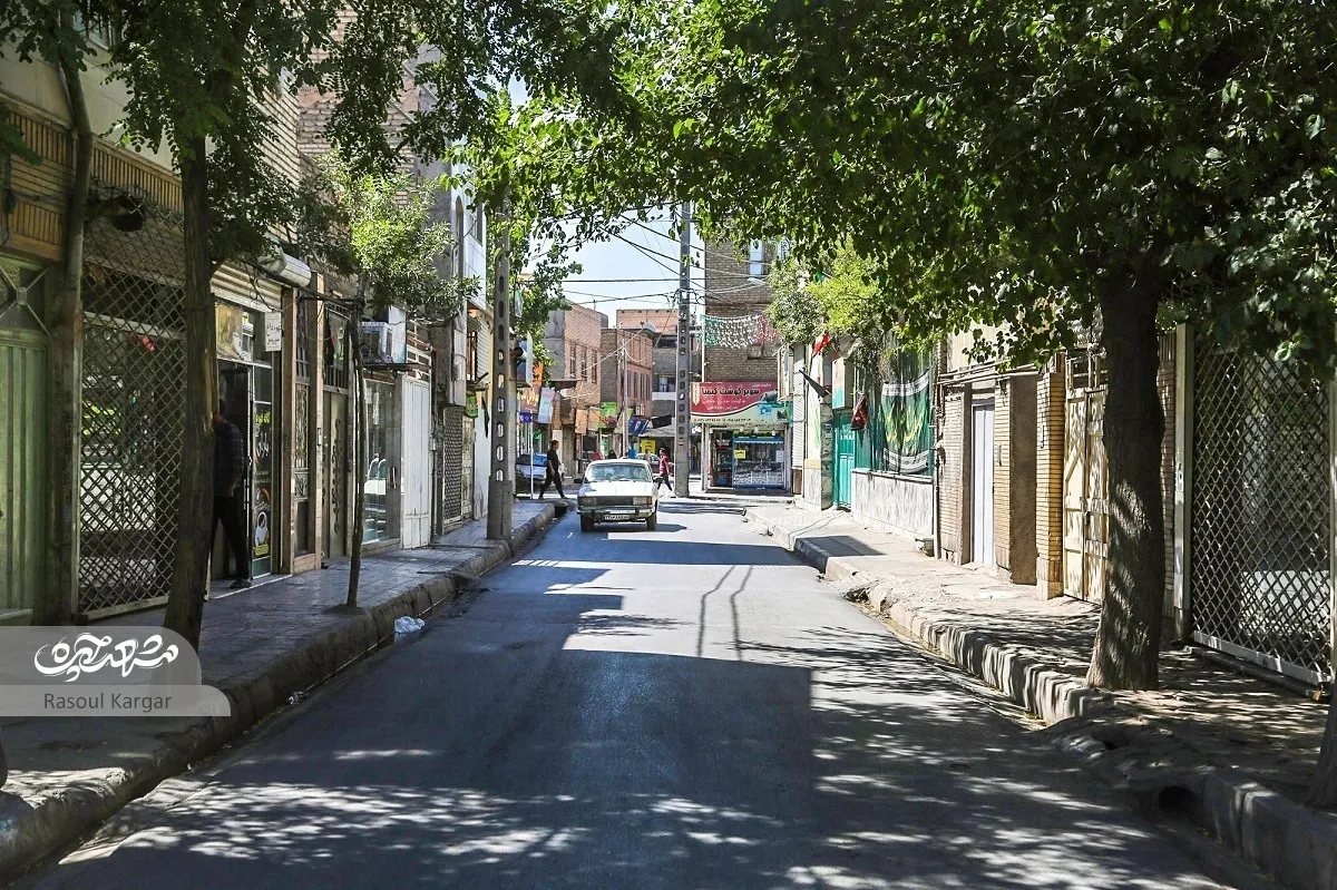 درخت‌ها در کوچه شهیدحسینی محراب تک مانده‌اند