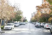 کوچه &laquo;رُز&raquo;