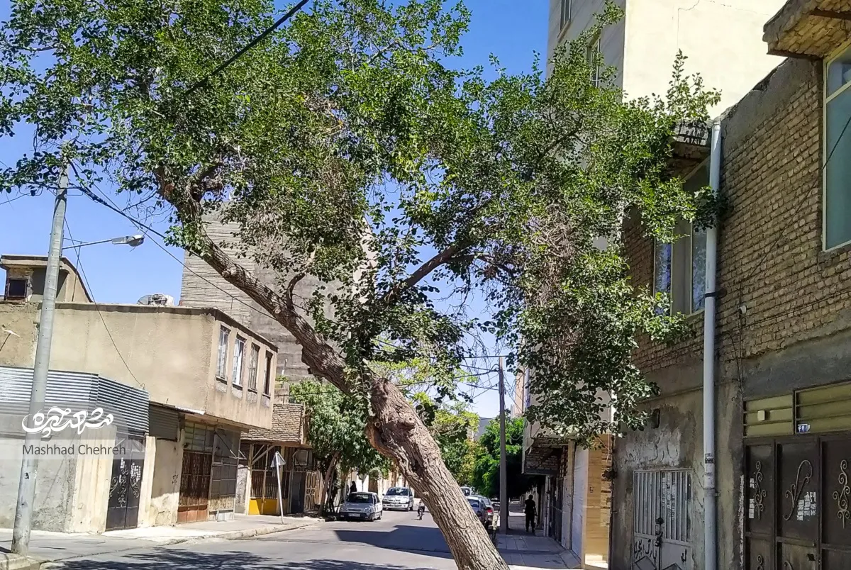 کوچه های مشهد کوچه های مشهد