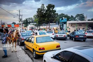 زشت و زیبای باغ‌وحش مشهد