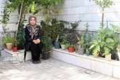 آبیاری درختان محله با  آب جمع&zwnj;آوری&zwnj;شده آشپزخانه!