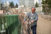 غرس هزار اصله درخت با عشق به طبیعت