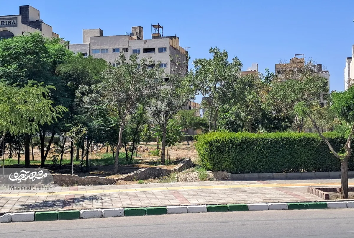 محله گردی