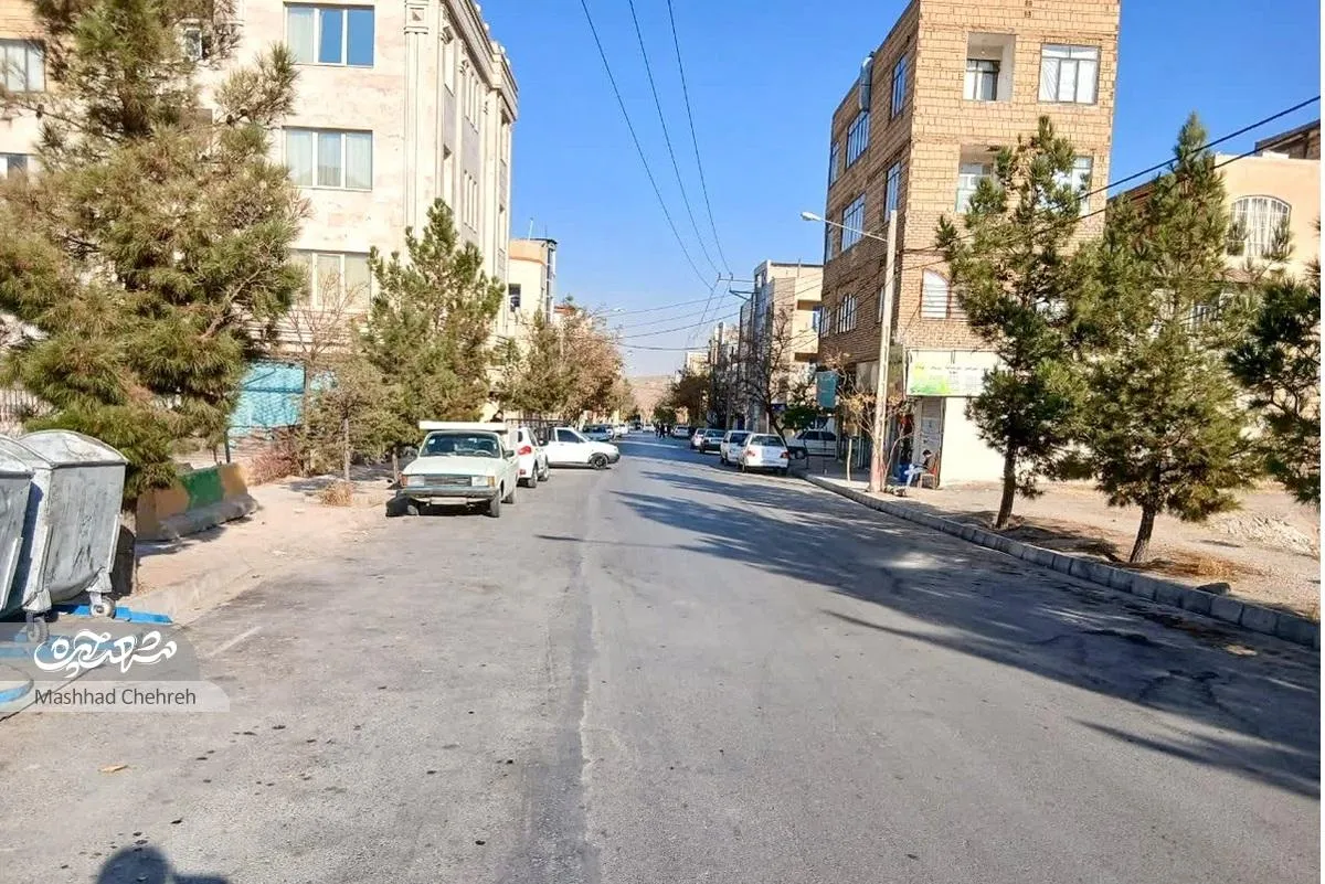 رنگ‌و‌بوی پهلوانی در خیابان زیتون