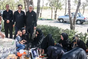 پاکبازی پاکبانان مشهدی در بزرگراه‌های شهر