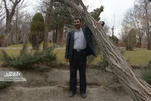 محمدعلی سلطانی عمری با درخت‌ها زندگی کرده است