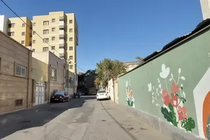 کوچه پشت دیوار شهر