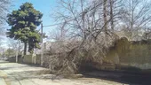 کوچ کارخانه ۸۹ ساله از محله کارخانه قند