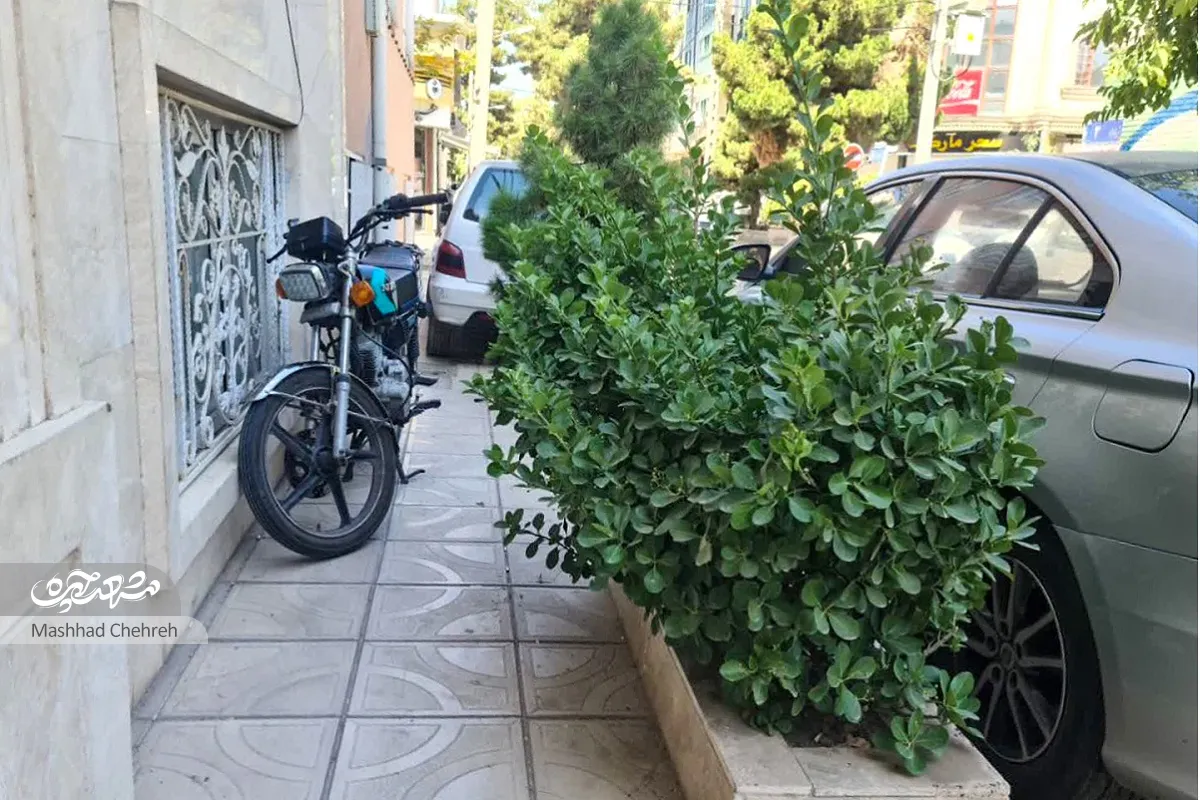 محله گردی