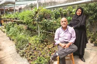 گلخانه‌داری در حیاط ۷۰ متری