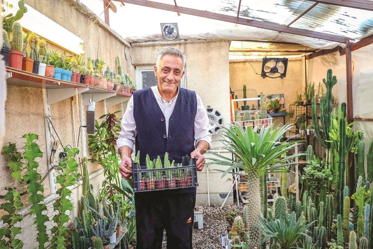 آقا محمد جراح ماهر کاکتوس‌ها است