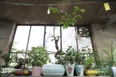 به وقت اشتغال&zwnj;زایی 