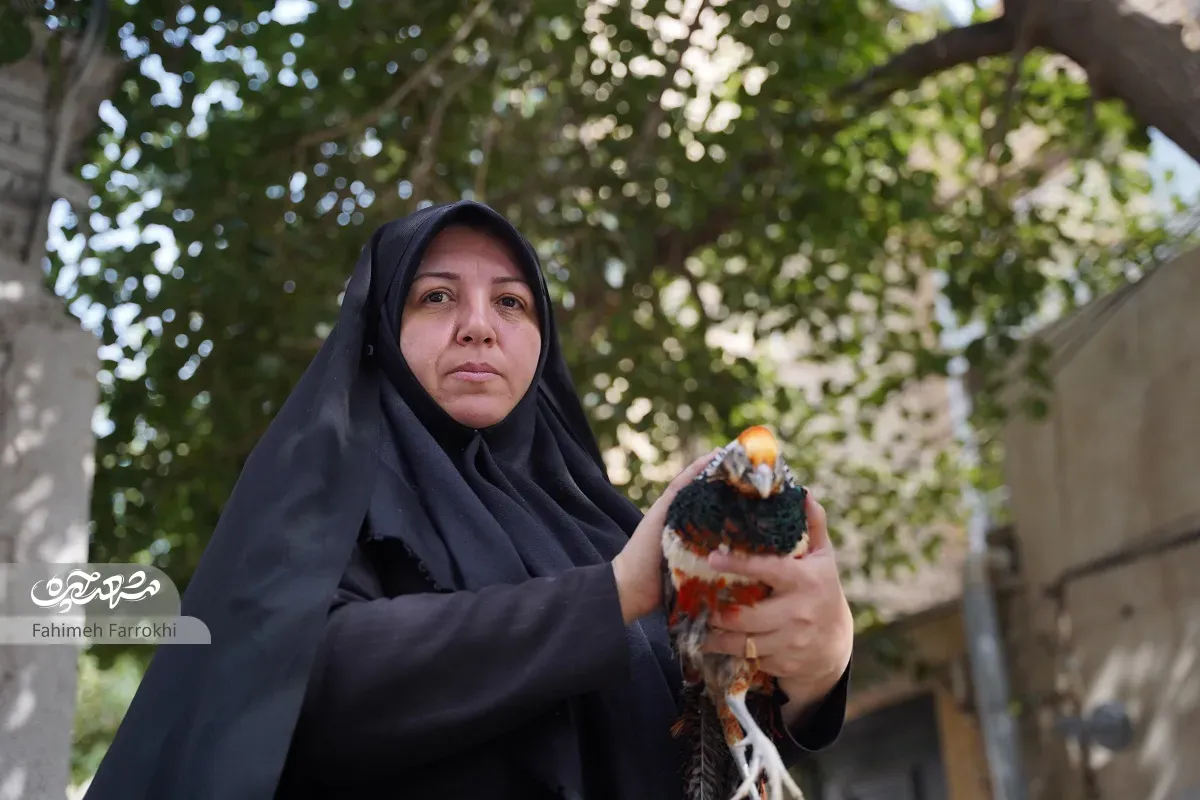 کارآفرینی