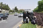 زنان سبز، شهرمان را زیباتر می&zwnj;کنند