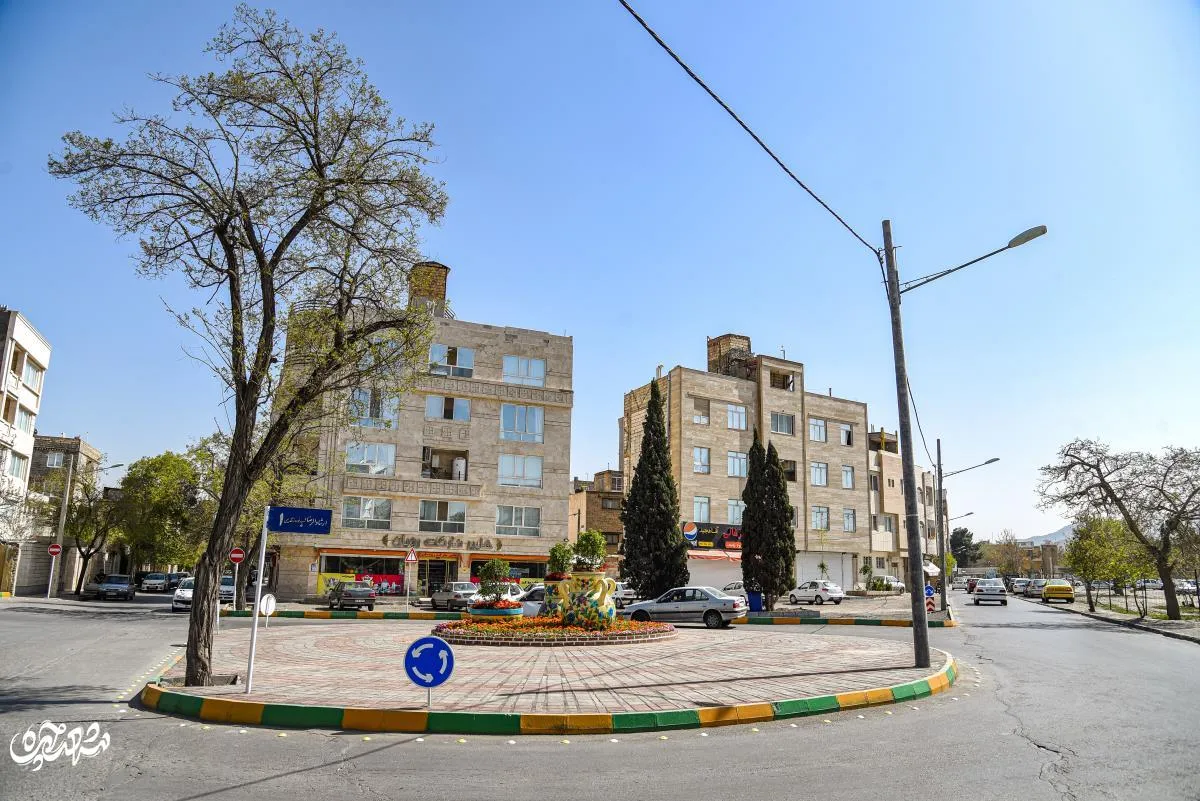 خیابان ارشادالرضا(ع)