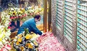 گذری بر سنت گل&zwnj;باران حرم مطهر رضوی