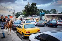 زشت و زیبای باغ‌وحش مشهد
