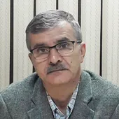 دکتر ایمان&zwnj;پور ۳۰ سال تجربه اروپا را به مشهد آورد