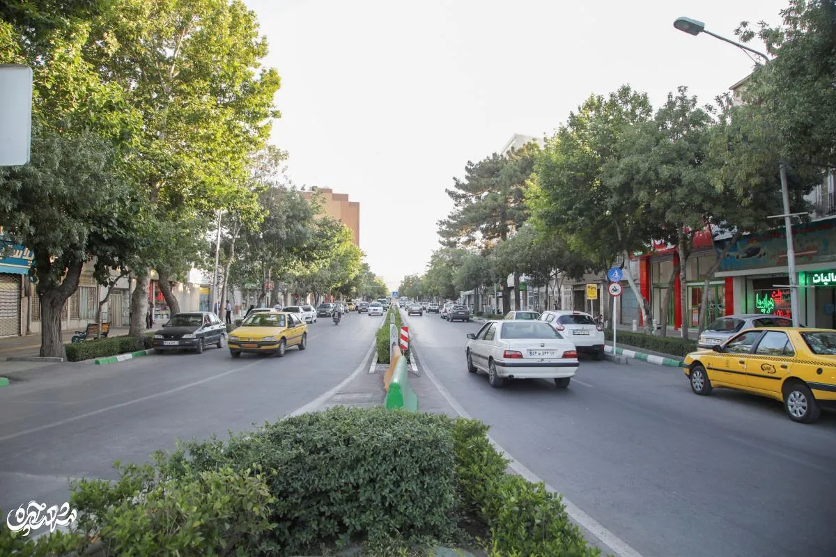 خیابان انقلابی ها