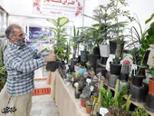 گل&zwnj;فروش محله هنرور زبان گل&zwnj;ها را می&zwnj;فهمد