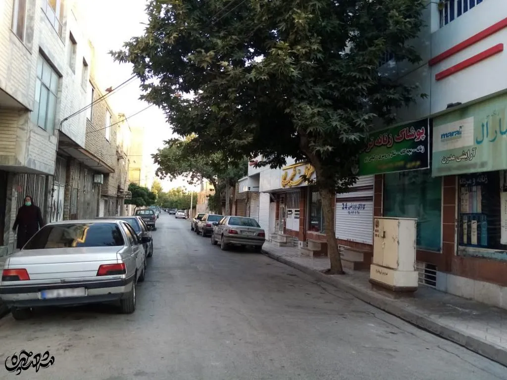 مشهدقلی