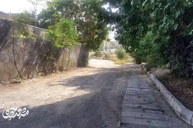 پاچنار
