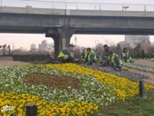 سیمای پر طراوت نوروز در میدان تلویزیون