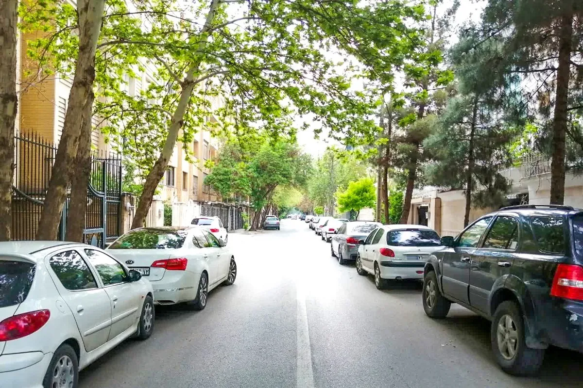 حال‌وهوای «بنفشه» سجاد