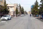 سرسبزی کوچه استادیوسفی ۱۲ هدیه آقا نعمت&zwnj;الله است