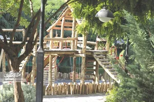 img-profile-author