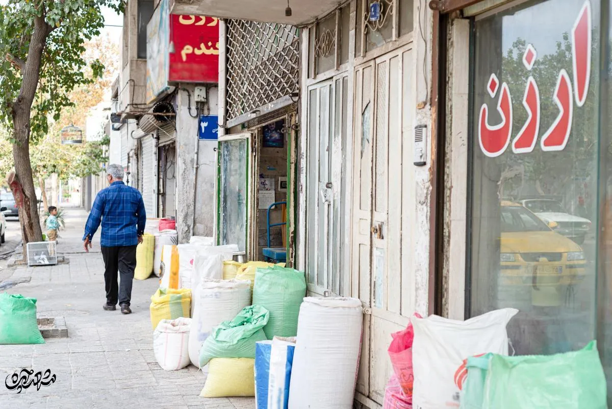 کوچه مصلی2