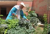 مرضیه خانم گل و گیاه دور ریخته شده در پارک&zwnj;ها را زنده می&zwnj;کند