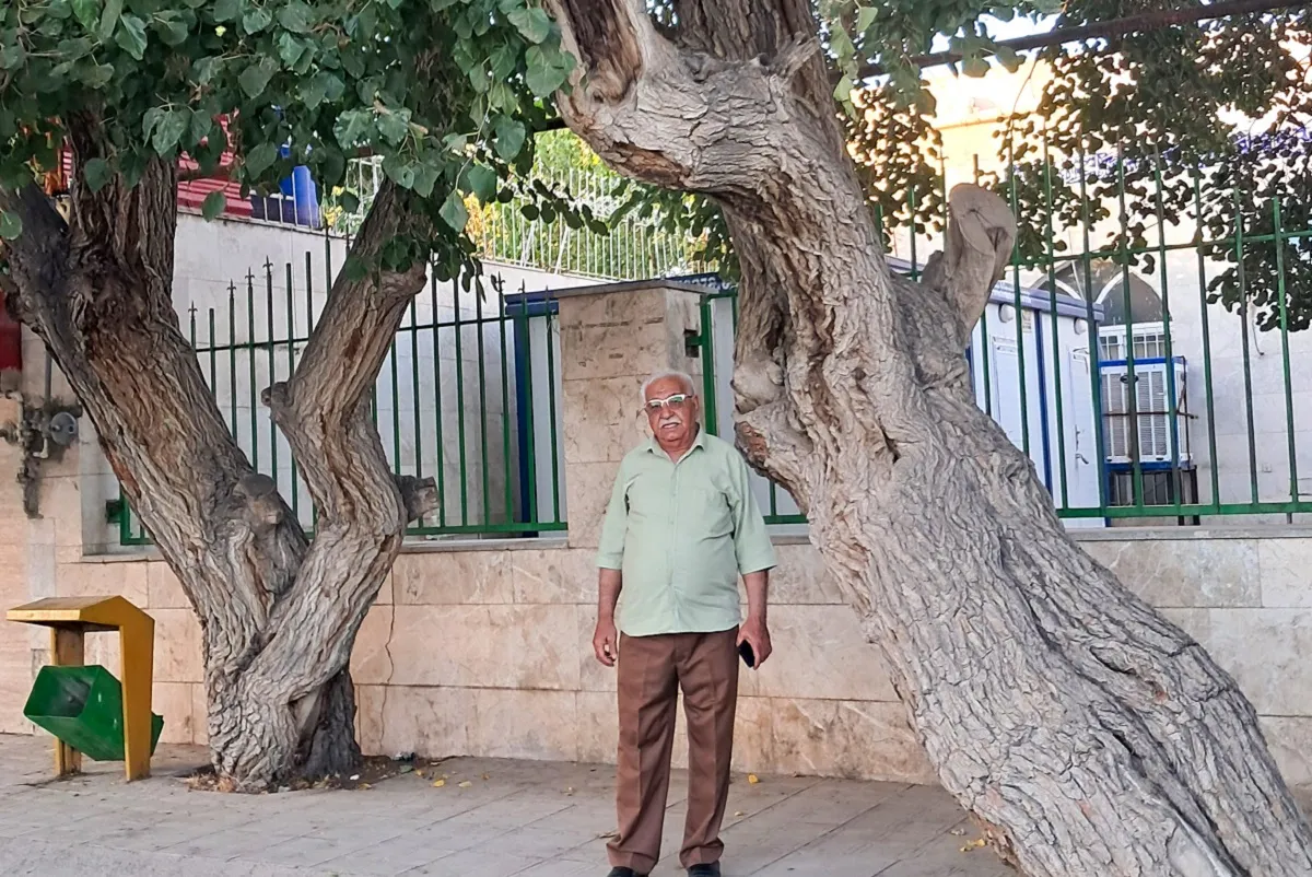 محله گردی محله گردی