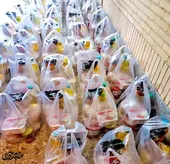 بنیاد عماد تمرکزش را برای پیشگیری از آسیب&zwnj;های کرونا گذاشته است