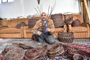 از ارغوان تا گلیم بافی