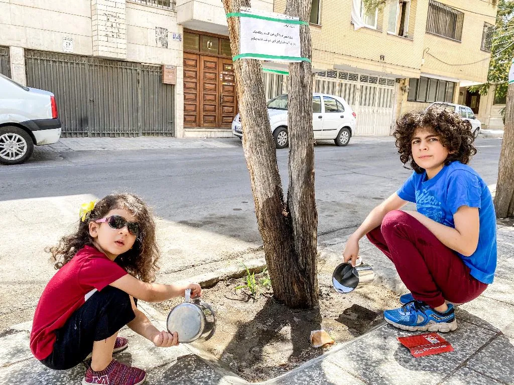 سام اکبری حامی درختان