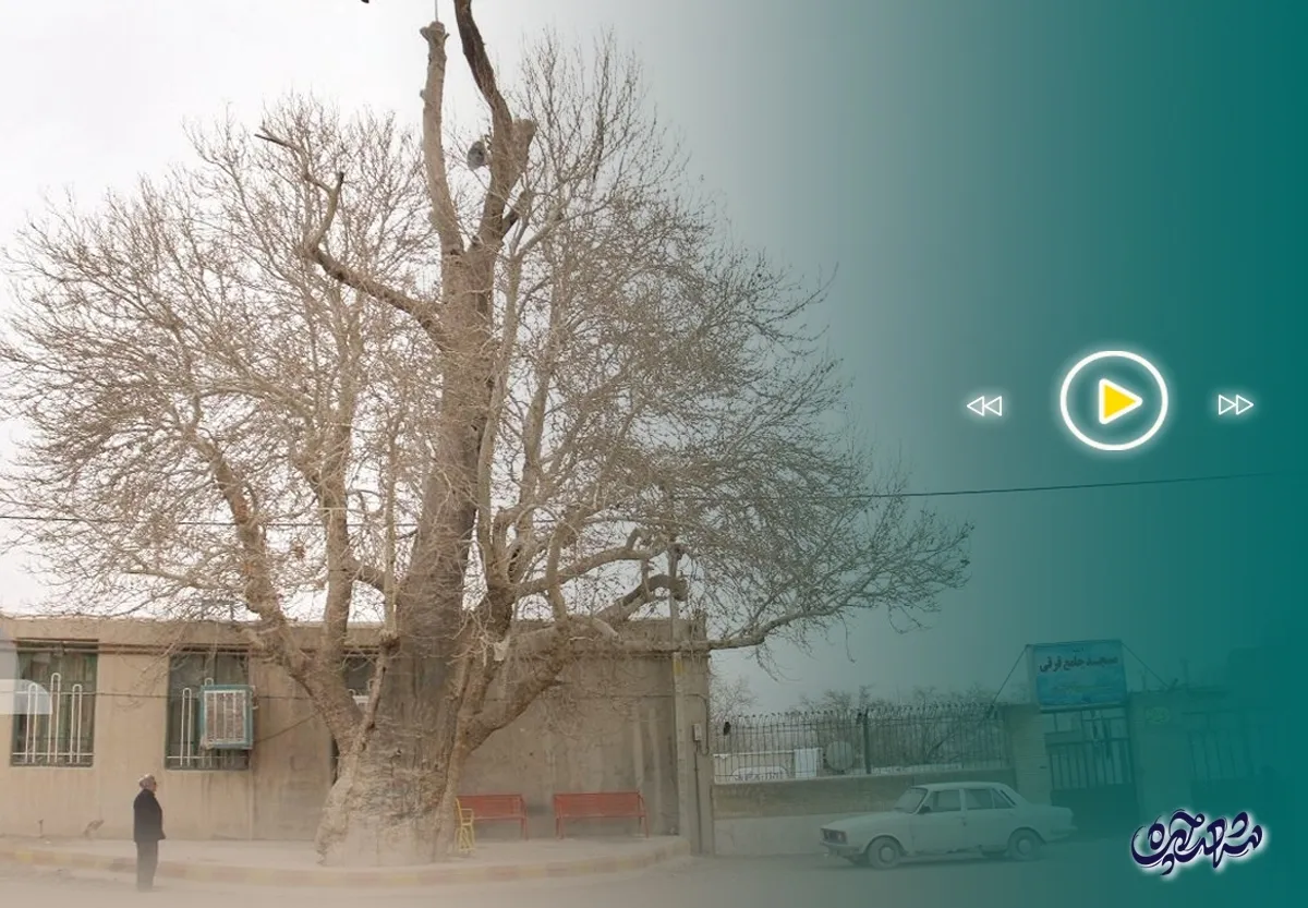 قرقی؛ محله چکمه پوش مشهد