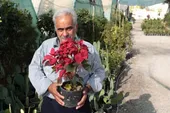 کیمیاگری از خاک شروع شد 