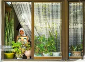 حسرت آخرین خداحافظی برای مادر شهیدان صفدری&zwnj;نژاد